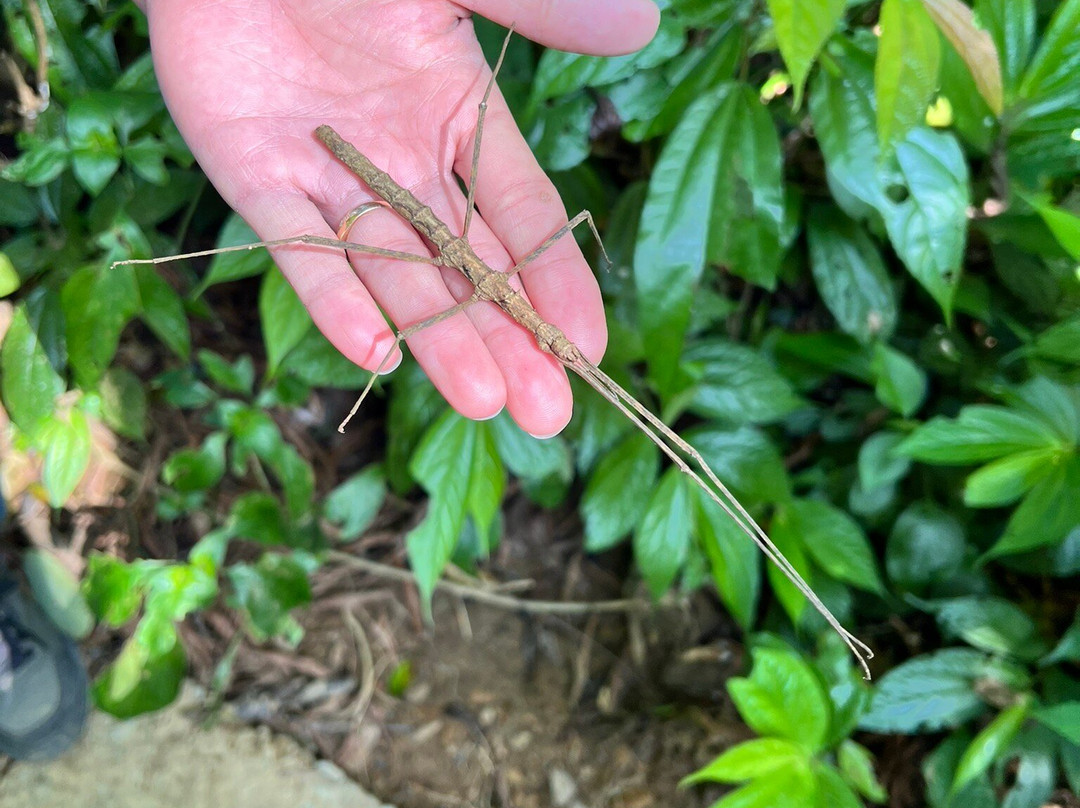 Cuc Phuong National Park-宁平必去景点