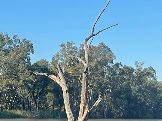 Sandytown River Cruises-St George必去景点