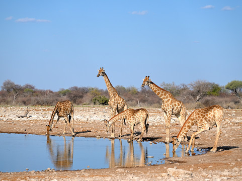 Rare Earth Tours-温德和克必去景点