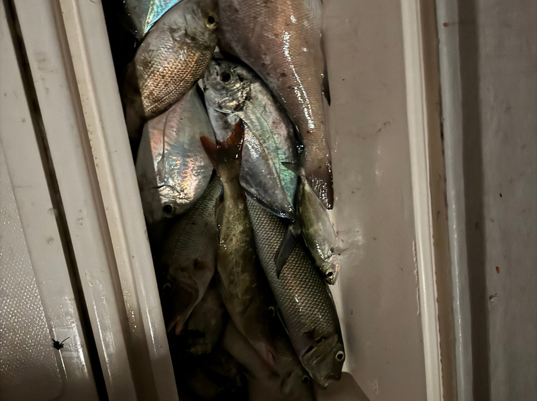 Other Divers at Huraa-呼拉岛必去景点