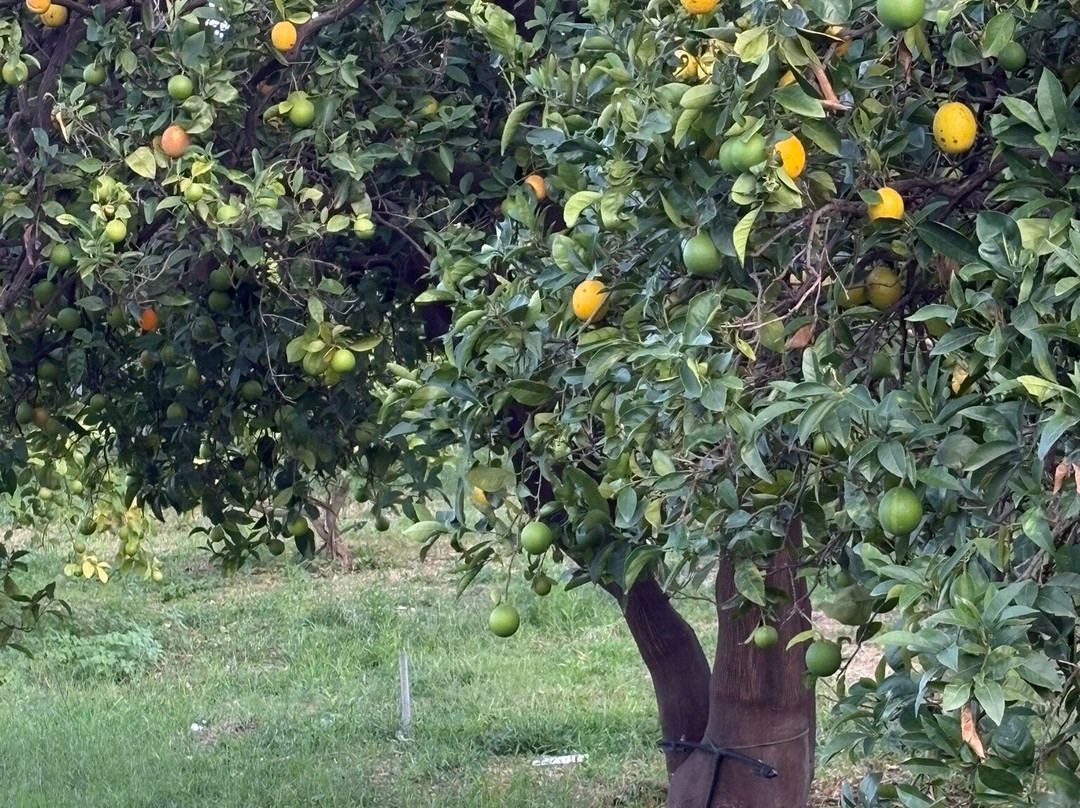 理想家园酒店主图