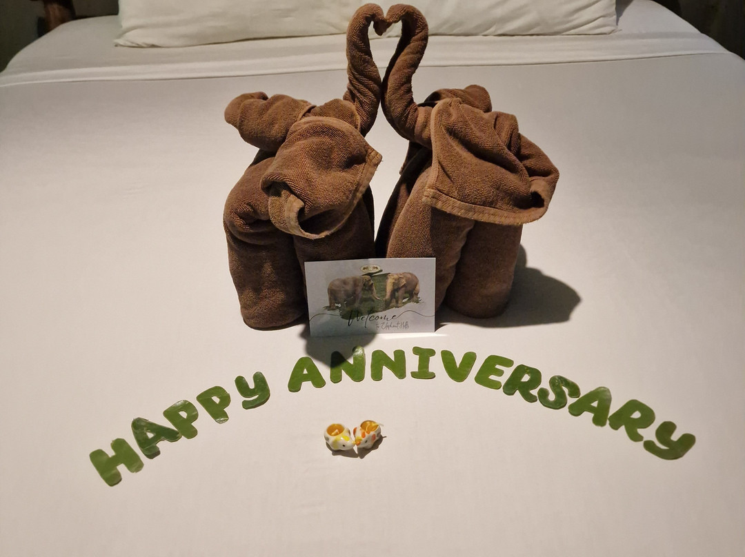 Elephant Hills主图