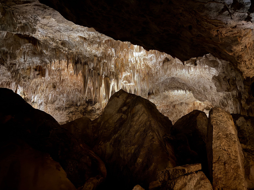 Big Room-卡尔斯巴德洞穴国家公园必去景点