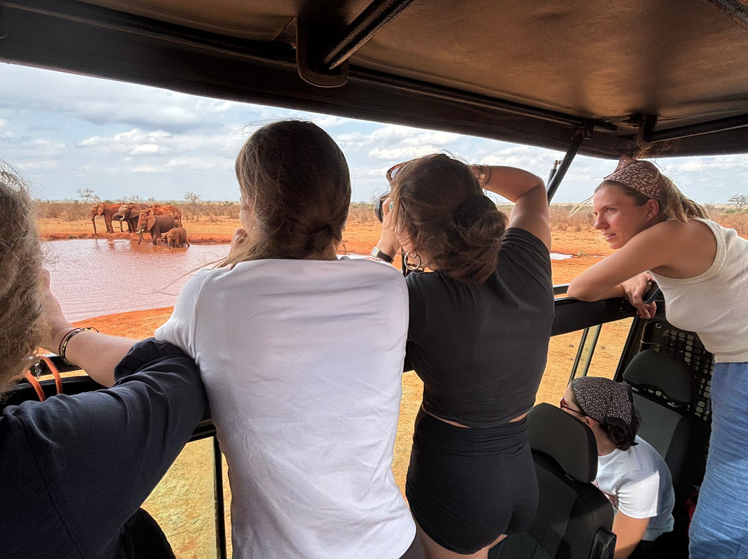 LadyM Safaris-蒙巴萨必去景点