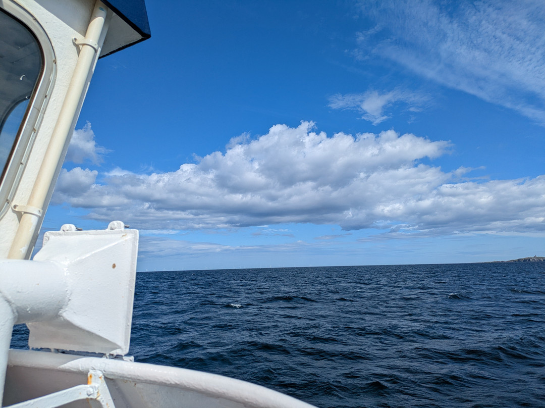 Isle of May National Nature Reserve-Anstruther必去景点