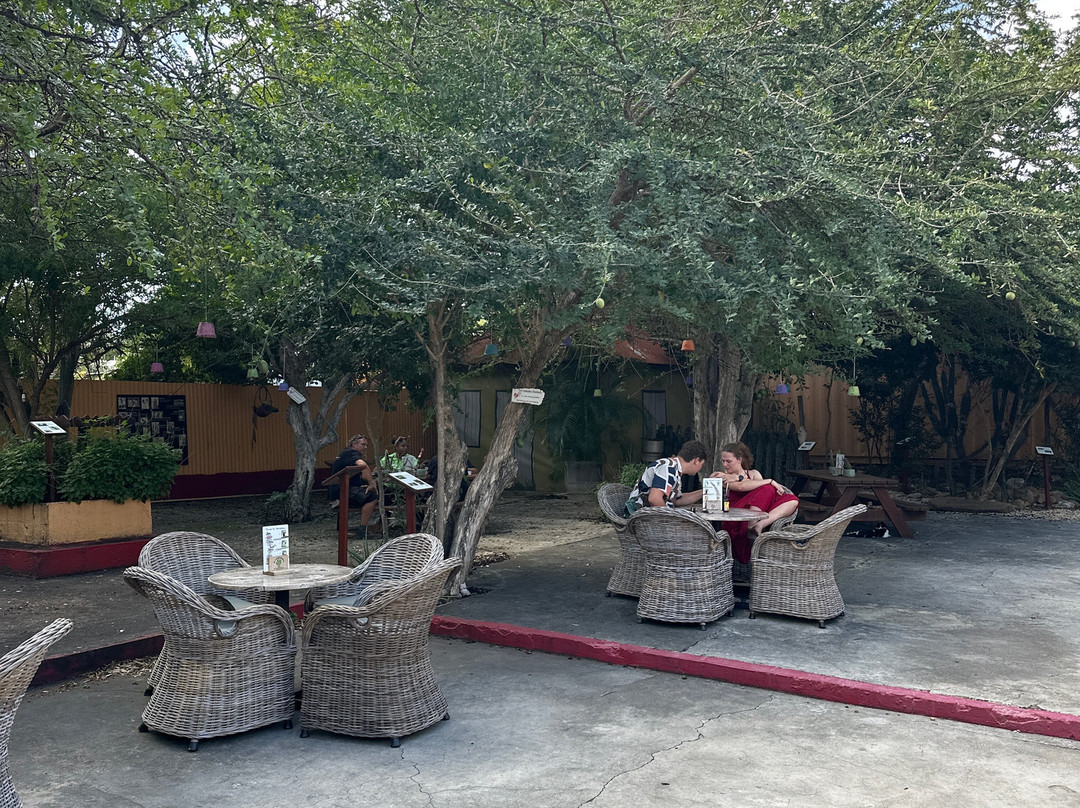 The Cadushy Distillery-Rincon必去景点