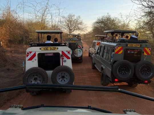 Kikko in Savanna Kenya-瓦塔木必去景点