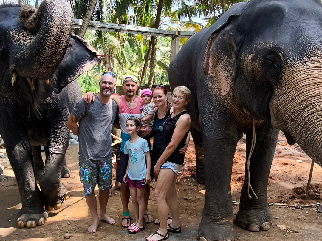 Kandy Safe Tuk Tuk Tours-康提必去景点