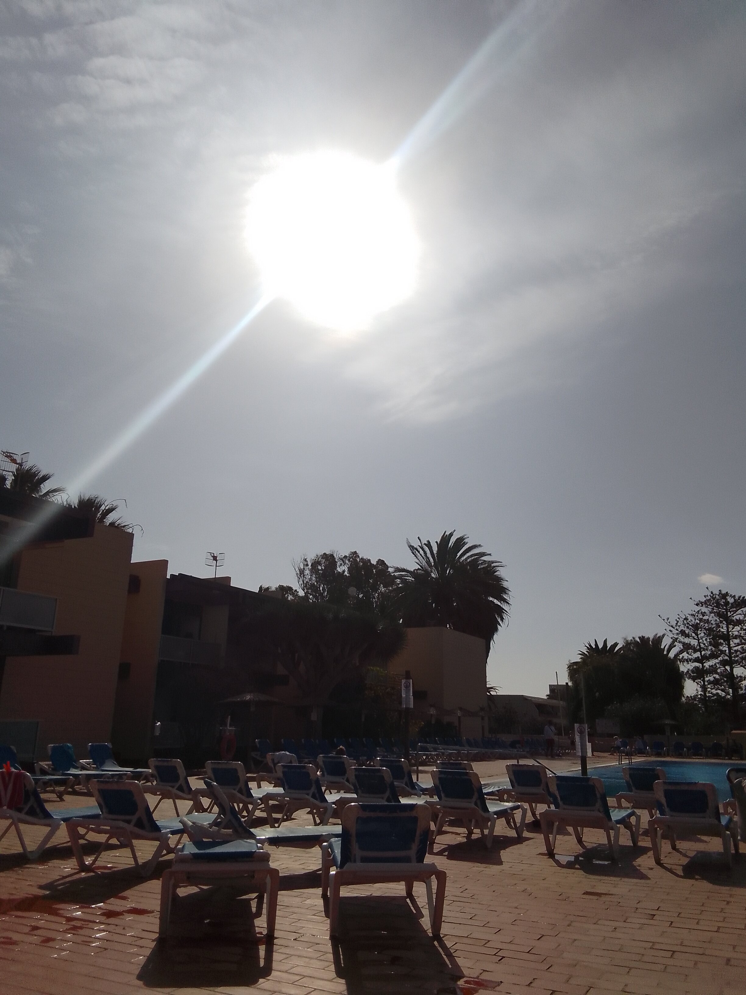 Hotel Palia Don Pedro-泳池