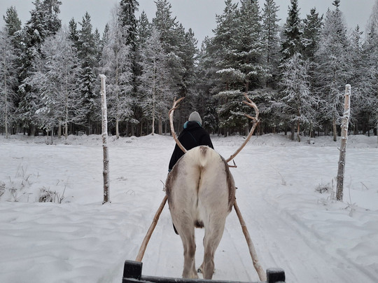 Ounaskievari Reindeer Farm-Kongas必去景点