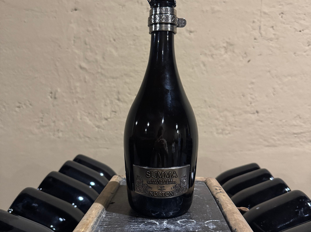 Bodega Norton-路冉得库约必去景点