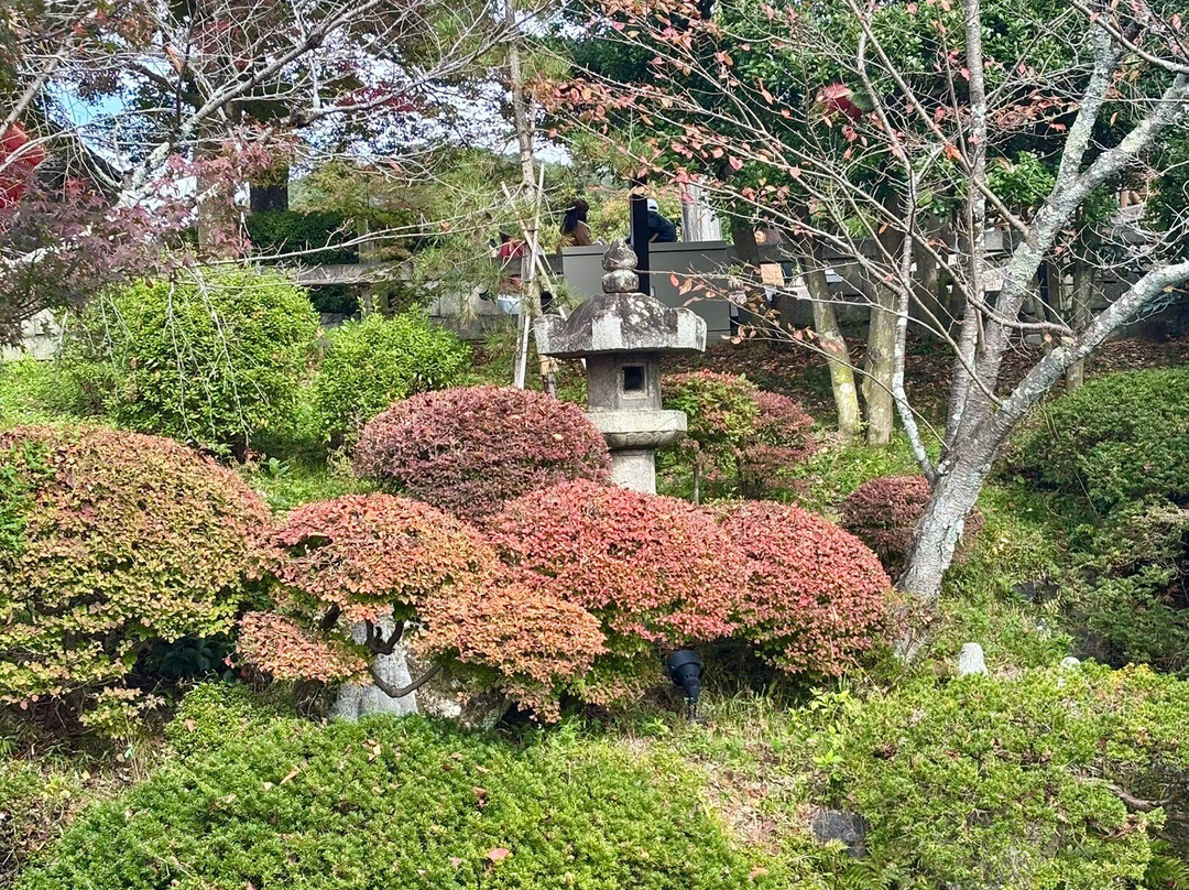 Manyo Botanical Garden-奈良市必去景点