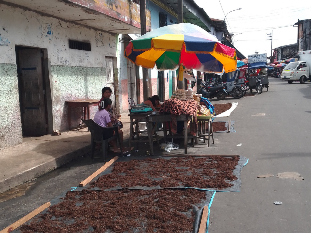 Belen-伊基托斯必去景点