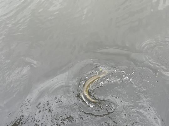 Echo Lake Park-里士满必去景点