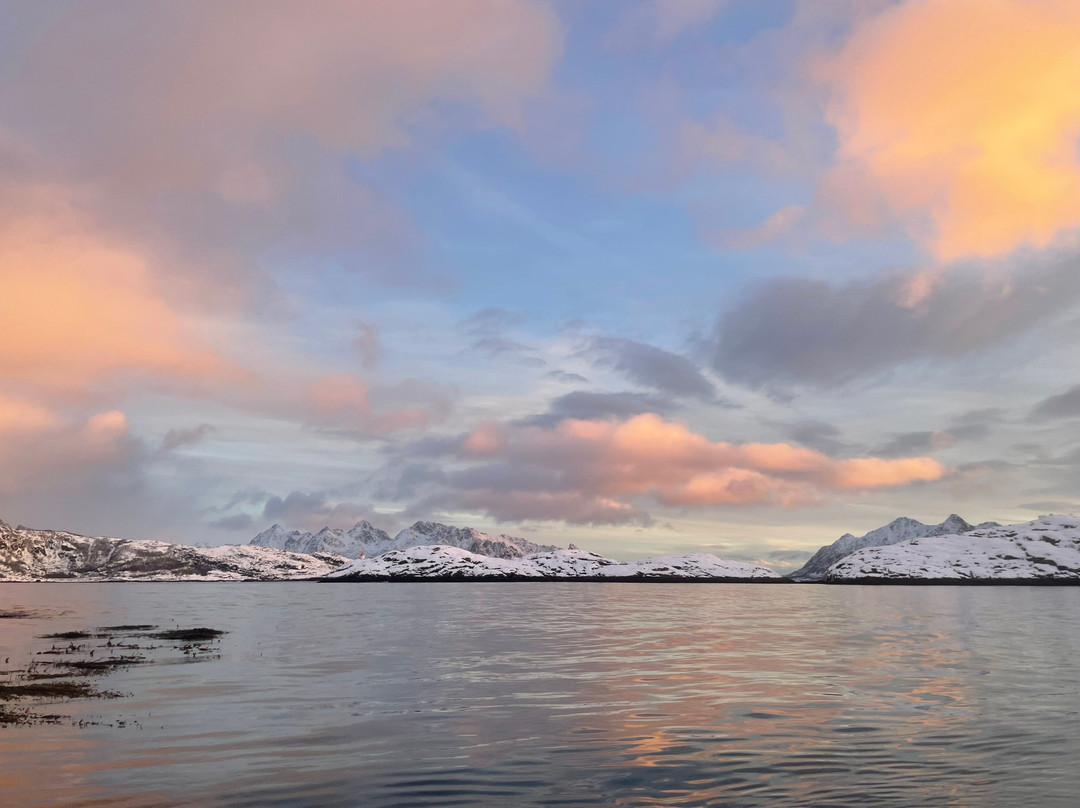 XXLofoten-斯沃尔韦尔必去景点