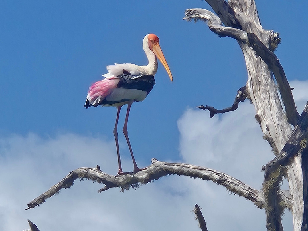 Manu Tours & Travels-亚洪加拉必去景点