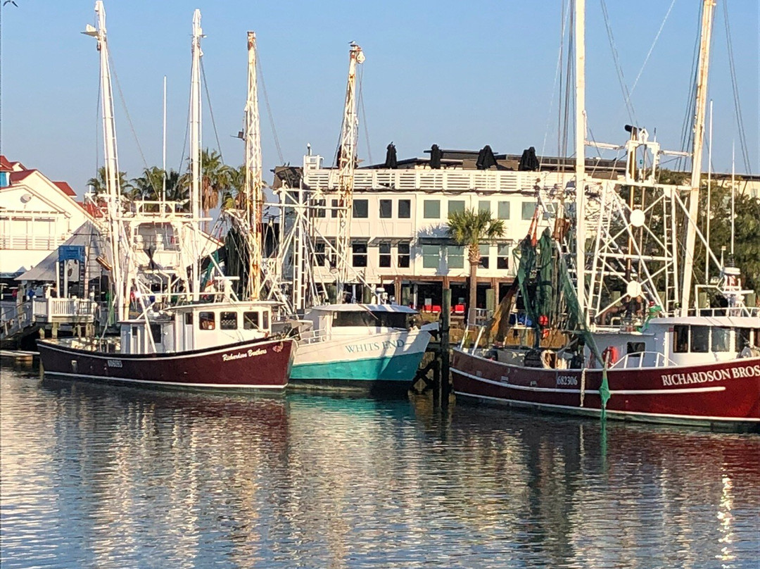 Shem Creek Park-芒特普莱森特必去景点