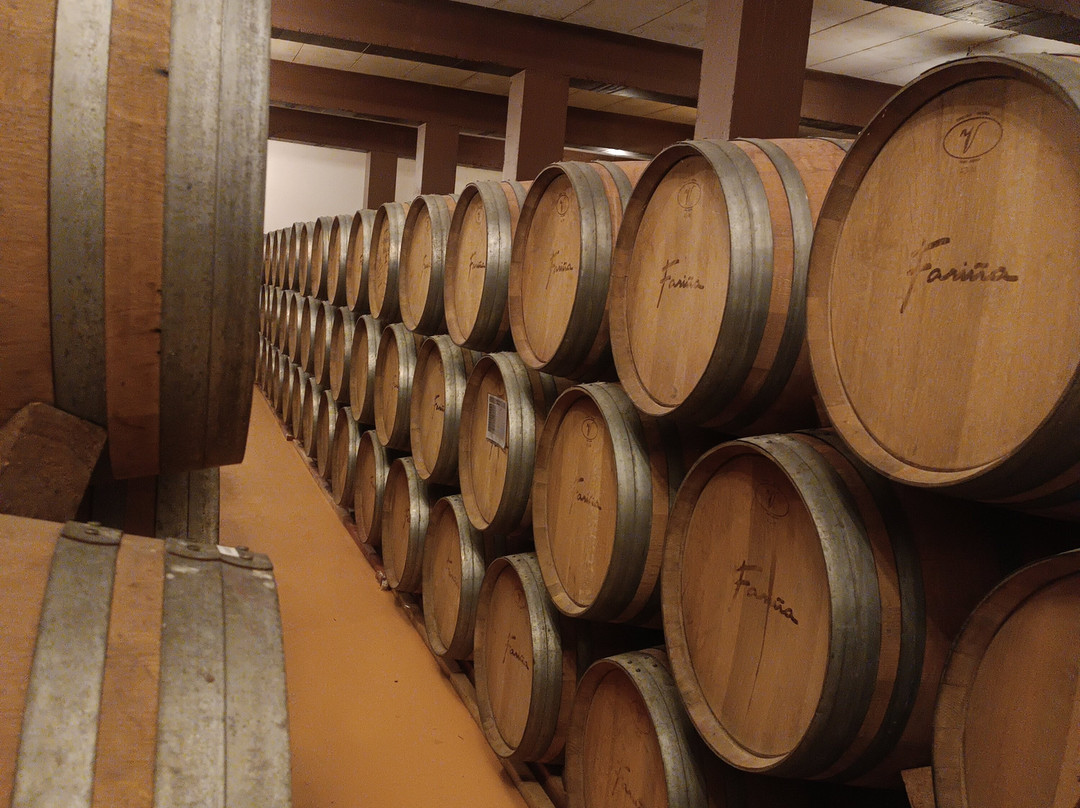 Bodegas Fariña-Toro必去景点