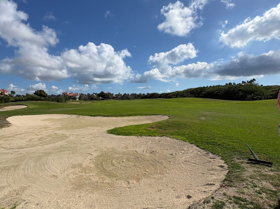 Links at Divi Aruba-奥腊涅斯塔德必去景点