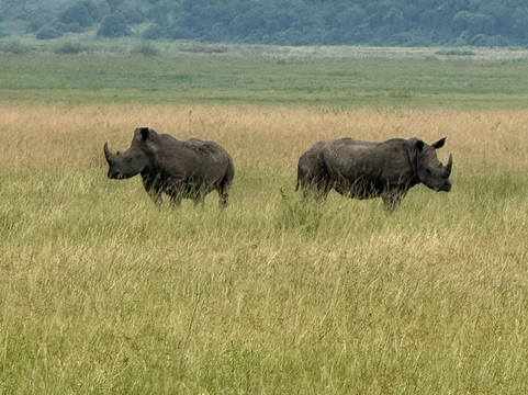 One More Adventure Safaris-坎帕拉必去景点