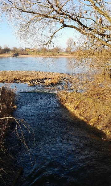 Kaiserswerth-杜塞尔多夫必去景点