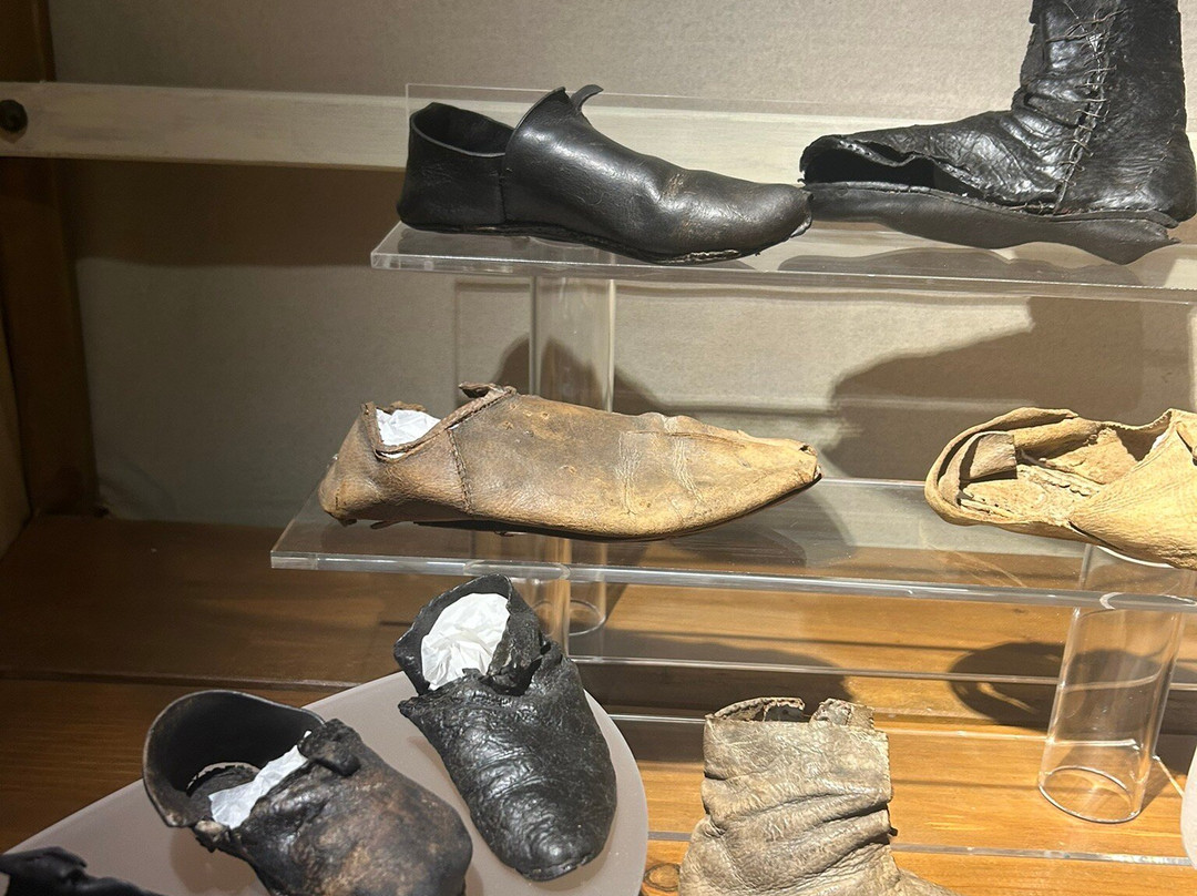 Hull & East Riding Museum of Archaeology-赫尔河畔金斯顿必去景点