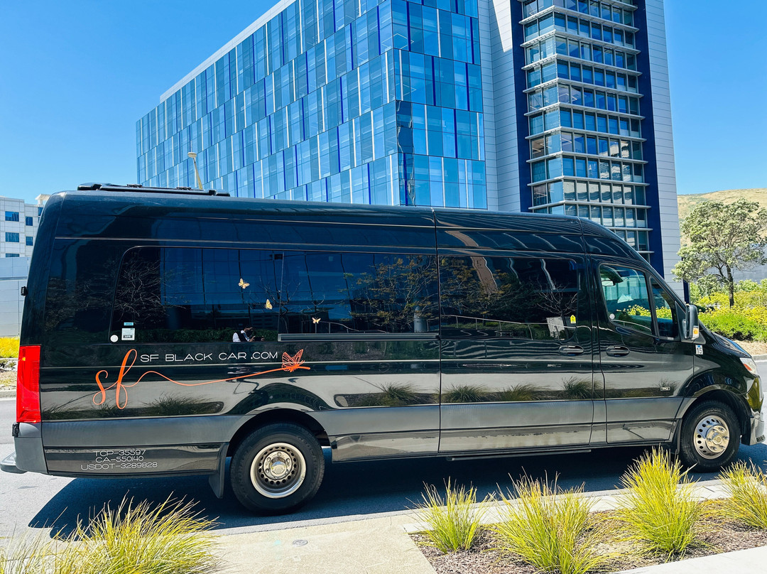 SF Black Car-戴利城必去景点