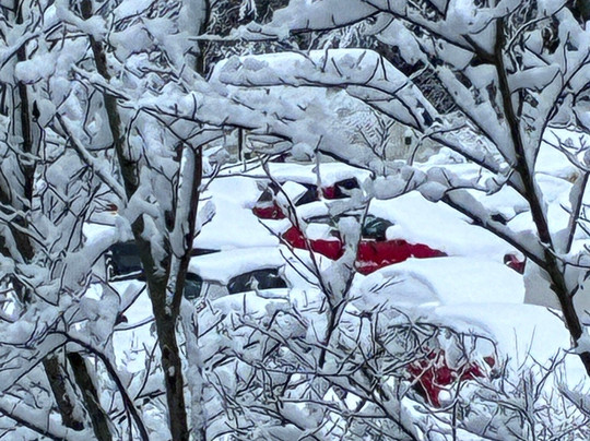 Hotel Palarine主图