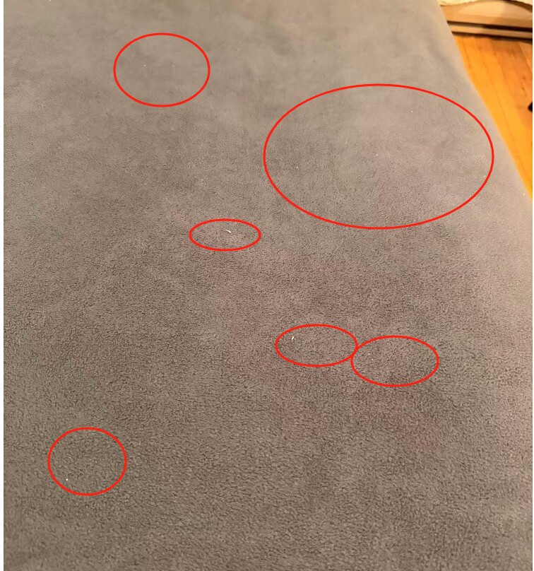 Auberge Alpine Inn主图