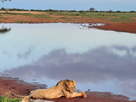 Kenya Experience Jonny Stecchino-瓦塔木必去景点
