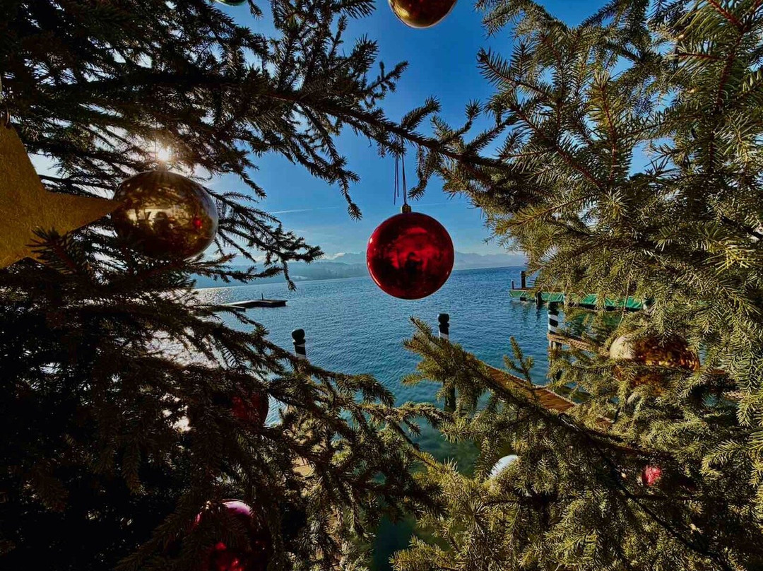 Hotel Schloss Seefels主图