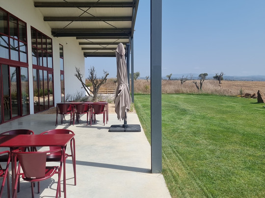 Vicentino Wines-Odemira必去景点