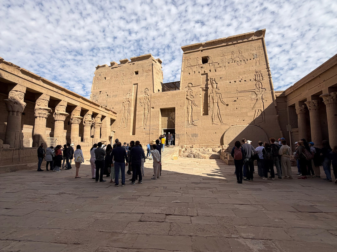Djed Egypt Travel - Day Tours-开罗必去景点