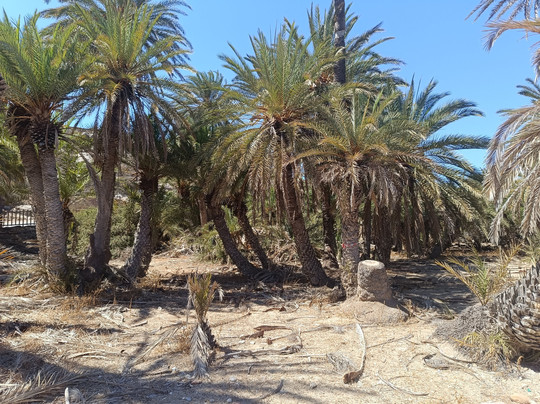 Vai Beach-Vai必去景点