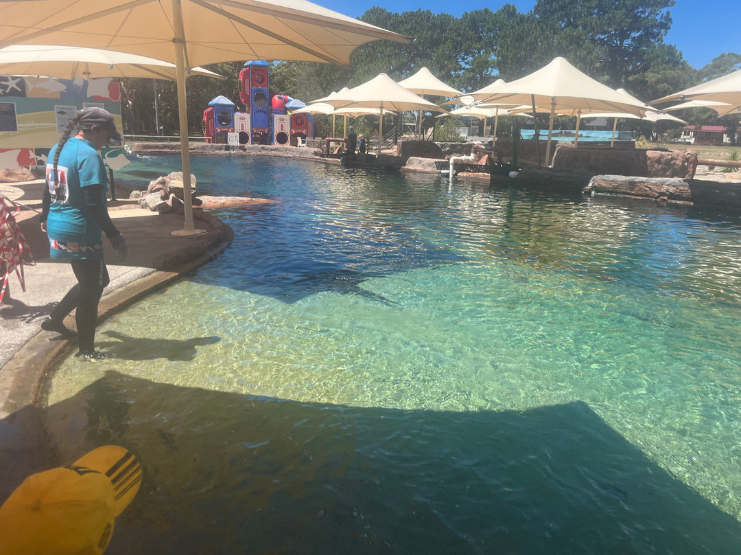 Irukandji Shark & Ray Encounters-史蒂芬斯港必去景点