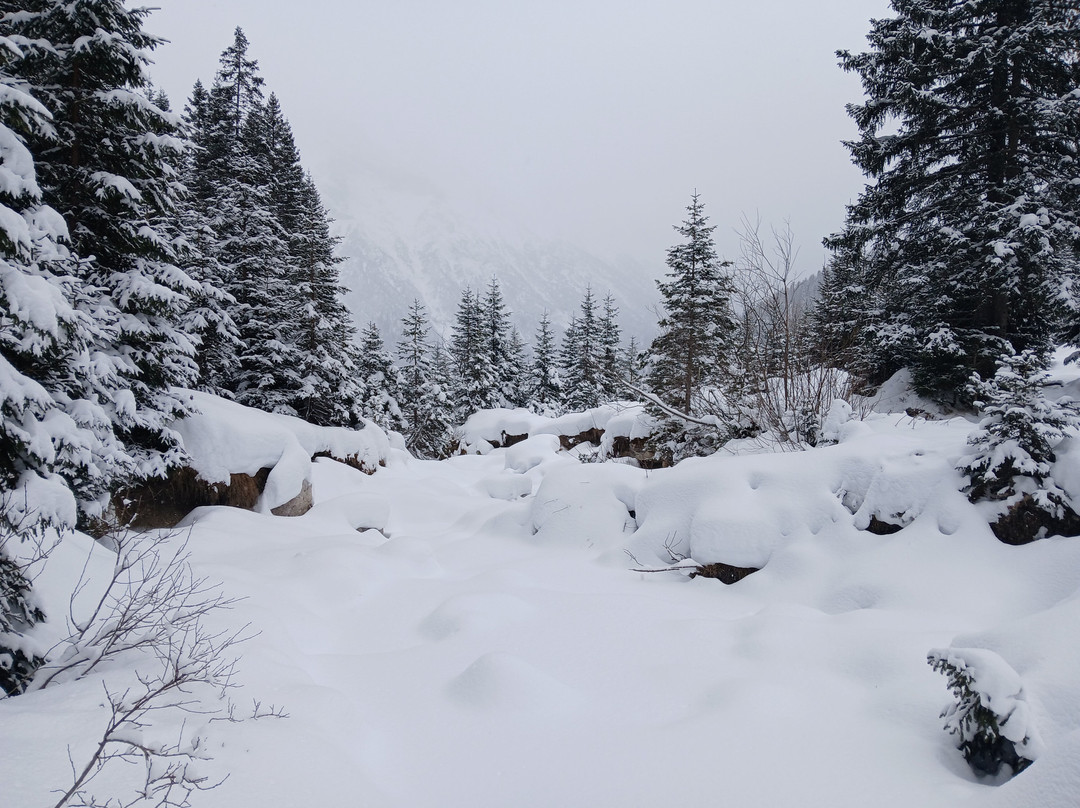 Bergwanderführer Tirol-洛伊塔戌必去景点