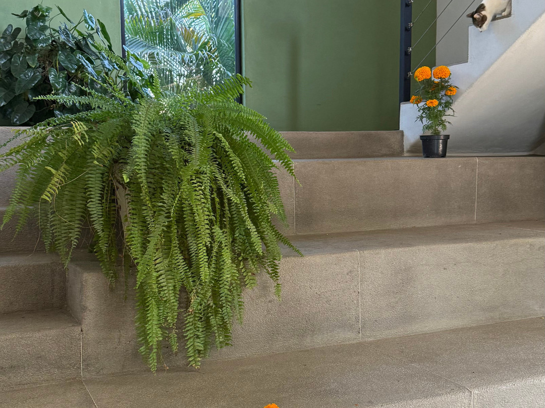 Experience Saladita-La Saladita必去景点