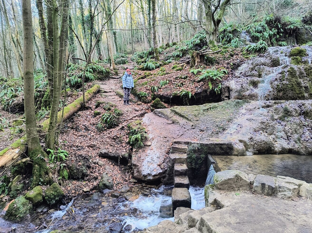 Hackfall Wood-里彭必去景点