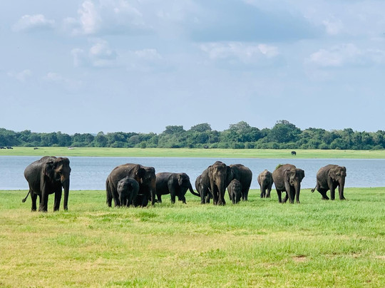 ASY Tours Sri Lanka-卡图纳耶克必去景点