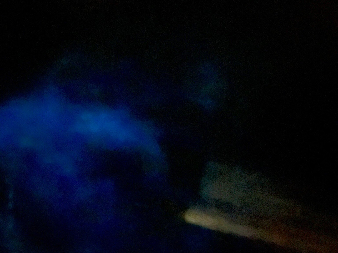 Cayman Kayaks-Rum Point必去景点