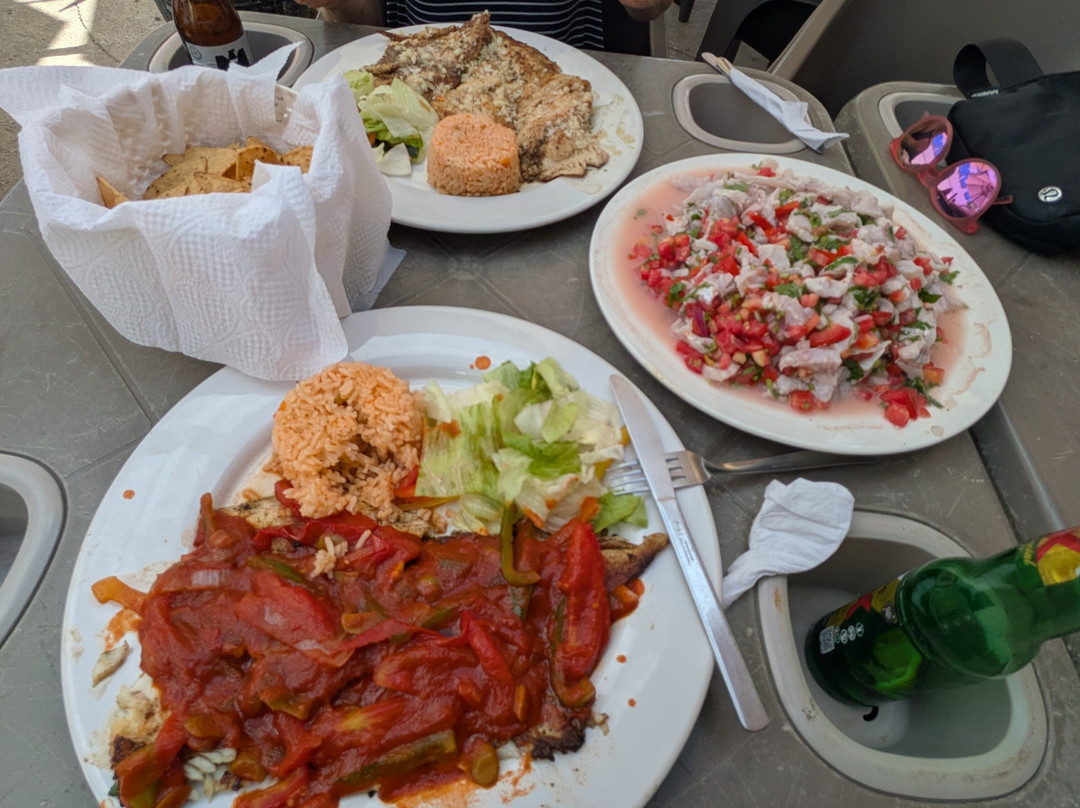 Yucatan Snook-Chuburna必去景点