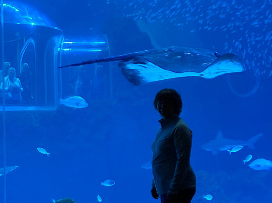 Poema Del Mar-大加那利岛拉斯帕尔马斯必去景点