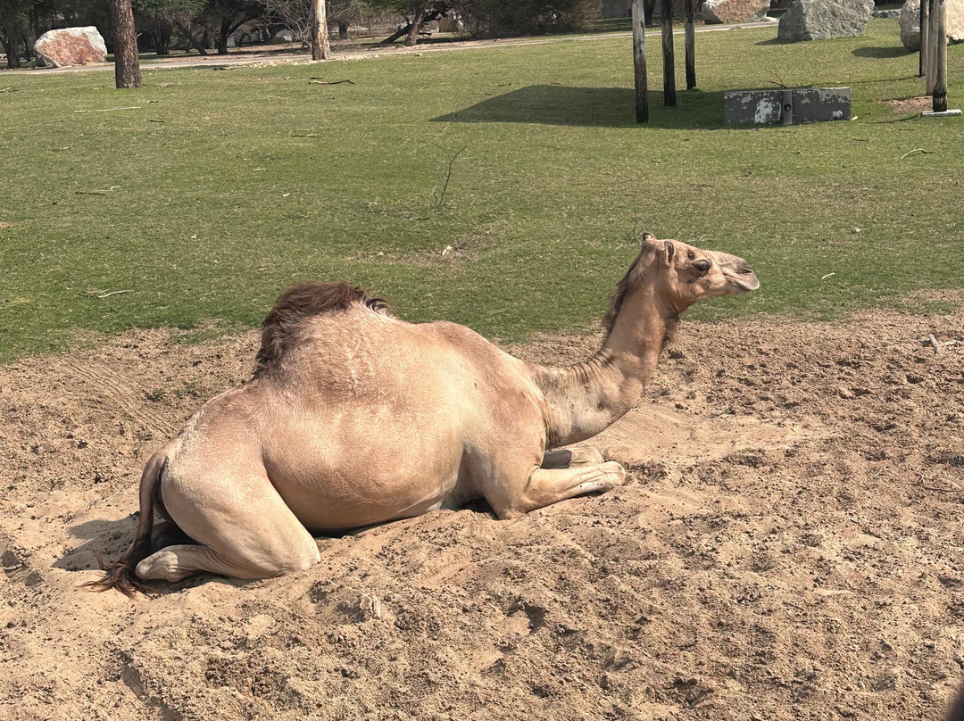 Adansi Travels-阿克拉必去景点