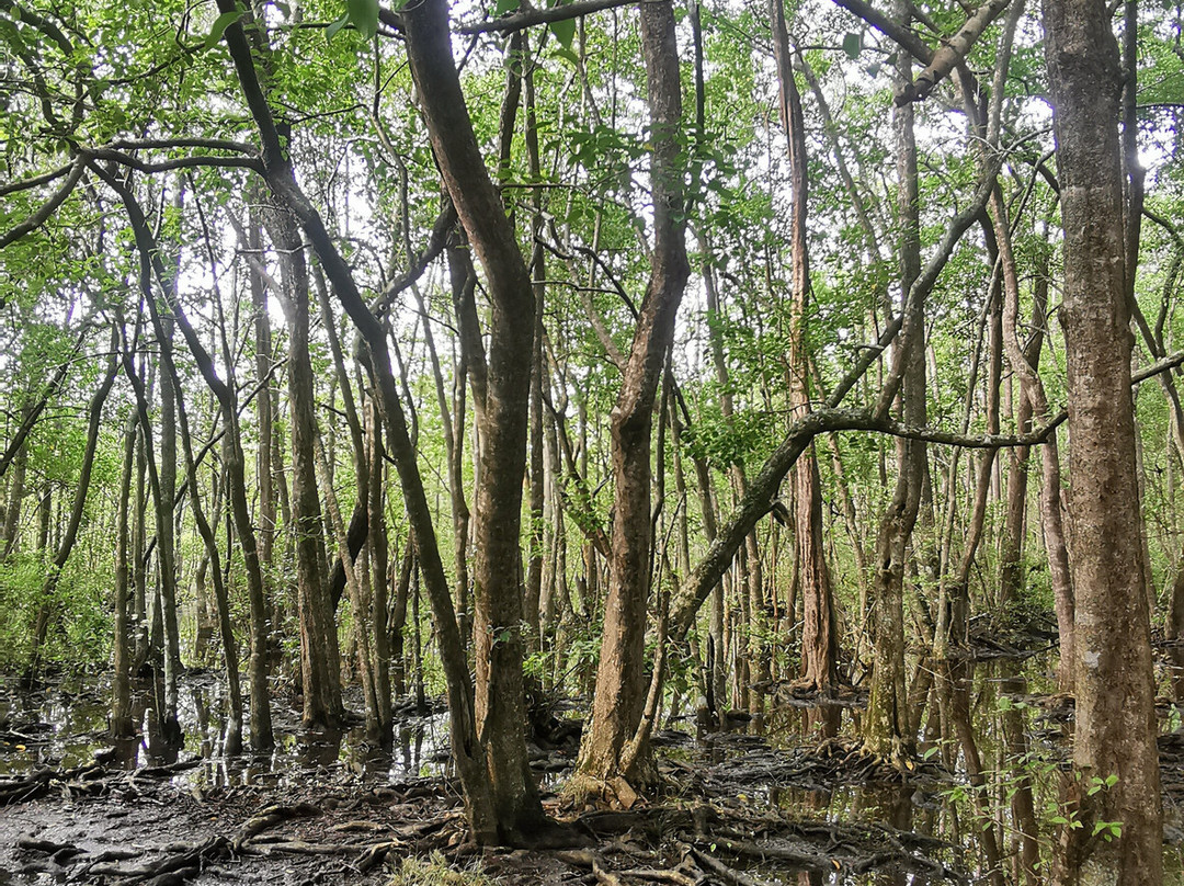 Menjangan Tour Snorkeling & Diving-Pejarakan必去景点