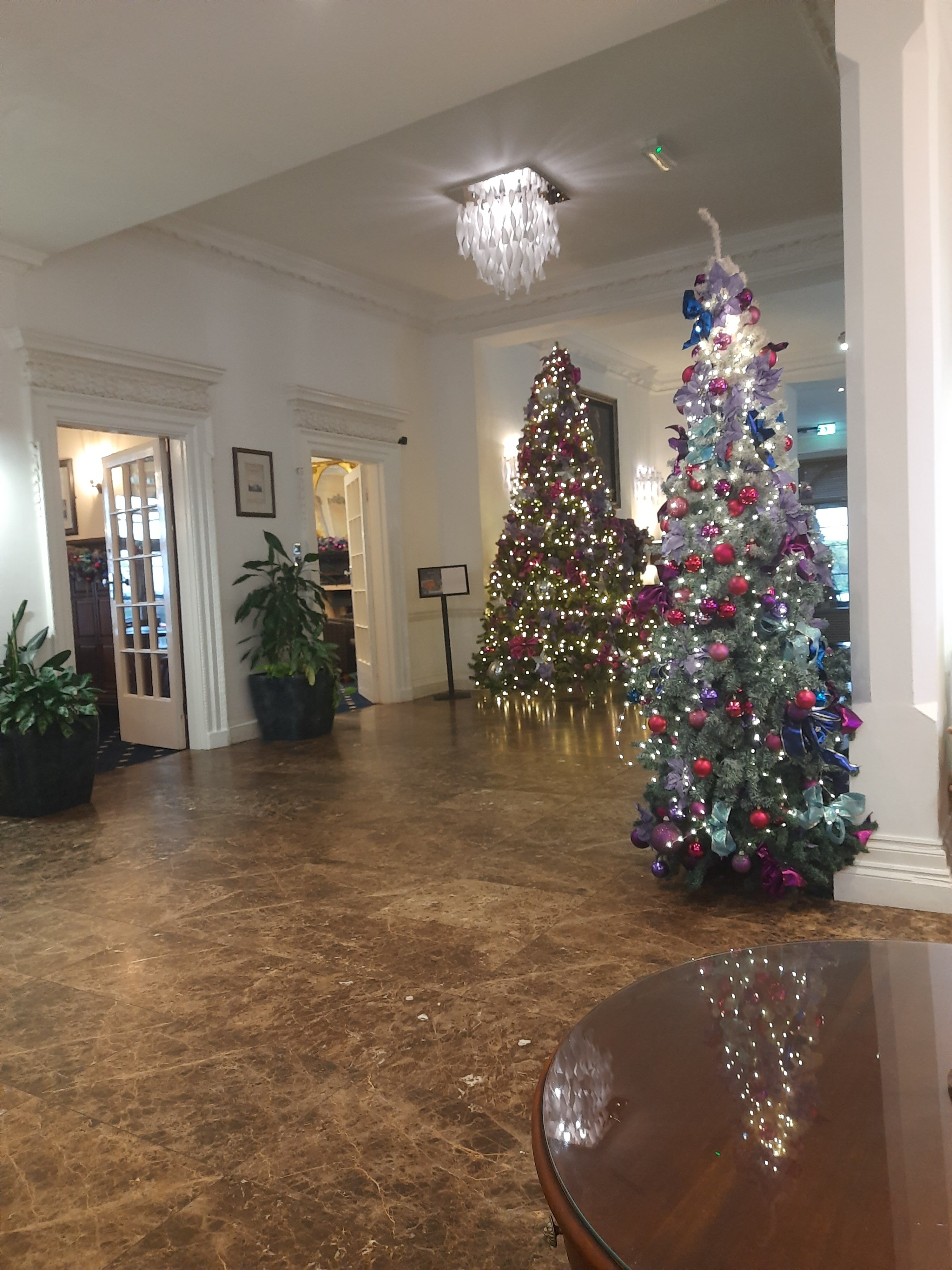 The Palace Hotel-官方