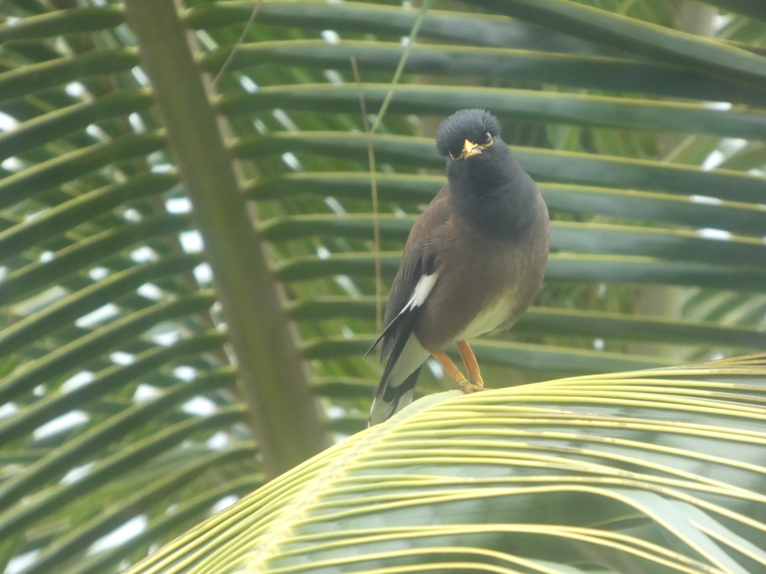 阿斯顿卡纳帕利玛哈纳度假村-浴室