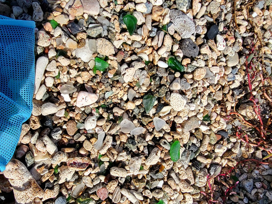 Sea Glass Tours Aruba Powered by Tranquilo Charters N.V.-萨瓦内塔必去景点