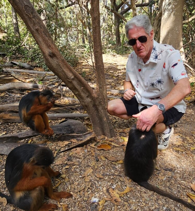 比吉洛森林公园-班竹必去景点