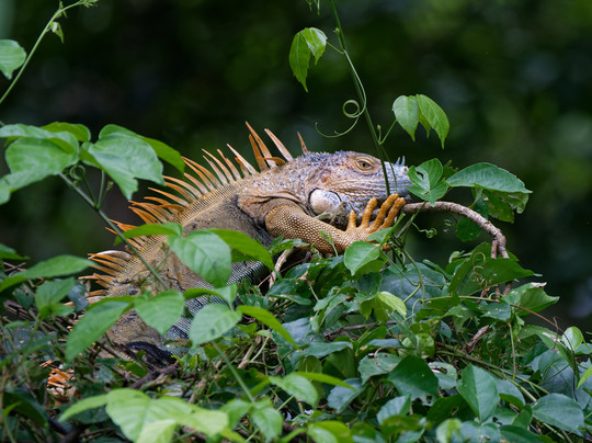 La Kukula Lodge主图