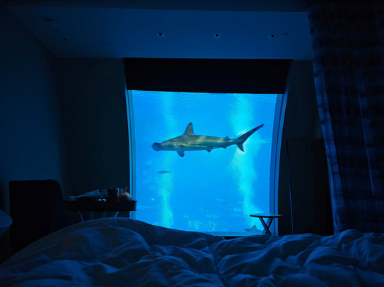 圣淘沙名胜世界海滨别墅